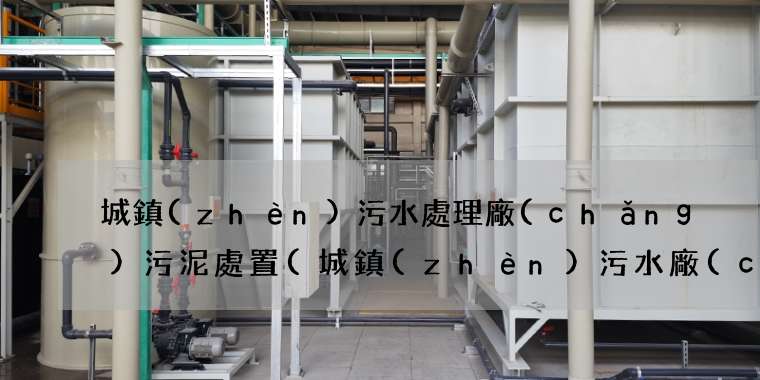 城鎮(zhèn)污水處理廠(chǎng)污泥處置(城鎮(zhèn)污水廠(chǎng)該何去何從)